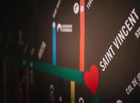 Paradise & Wellness 호텔