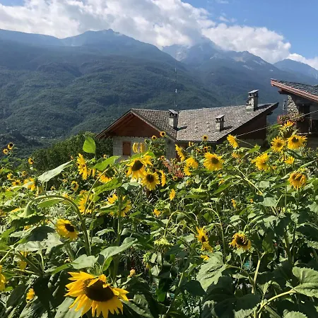 Paradise & Wellness 호텔 셍빈센트