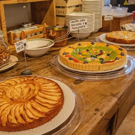 Paradise Hotel&wellness Hotel 4*