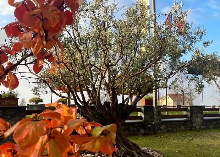 Hotel Paradise & Wellness 4*