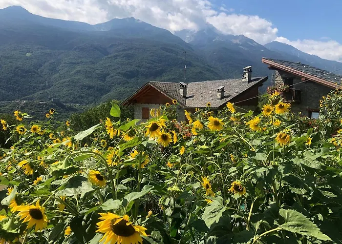天堂酒店及疗养中心 酒店 圣文森特